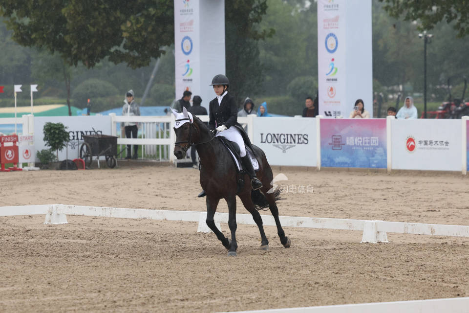 也是对我付, 协会等单位